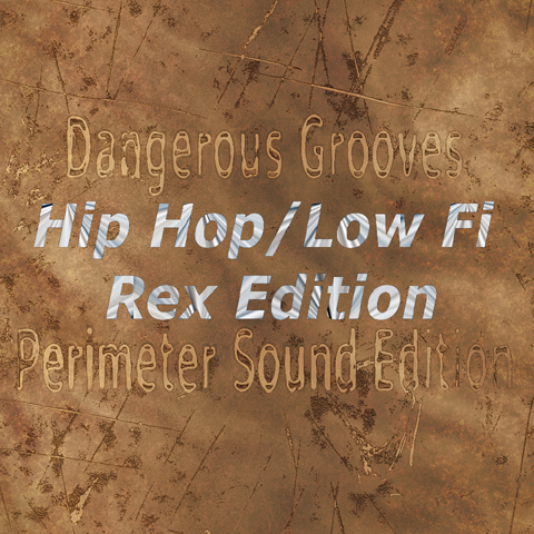 Product picture HipHop-LowFi Rex Format.zip